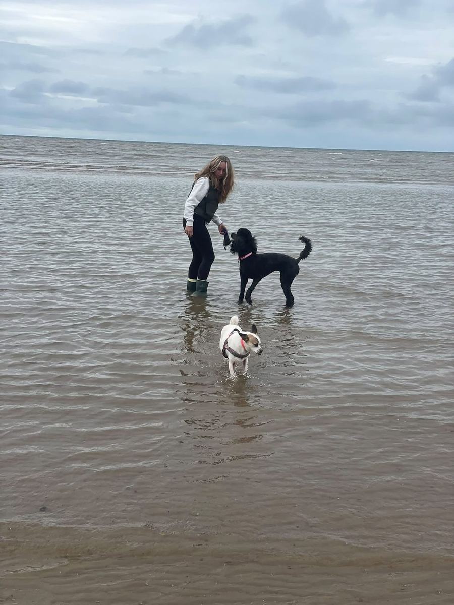 Eliska in the shallows at low tide with a black poodle and a small white dog