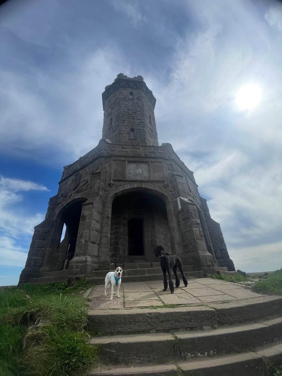 A white dog and a black poodle standing on the steps of Darwen Tower under a bright sky